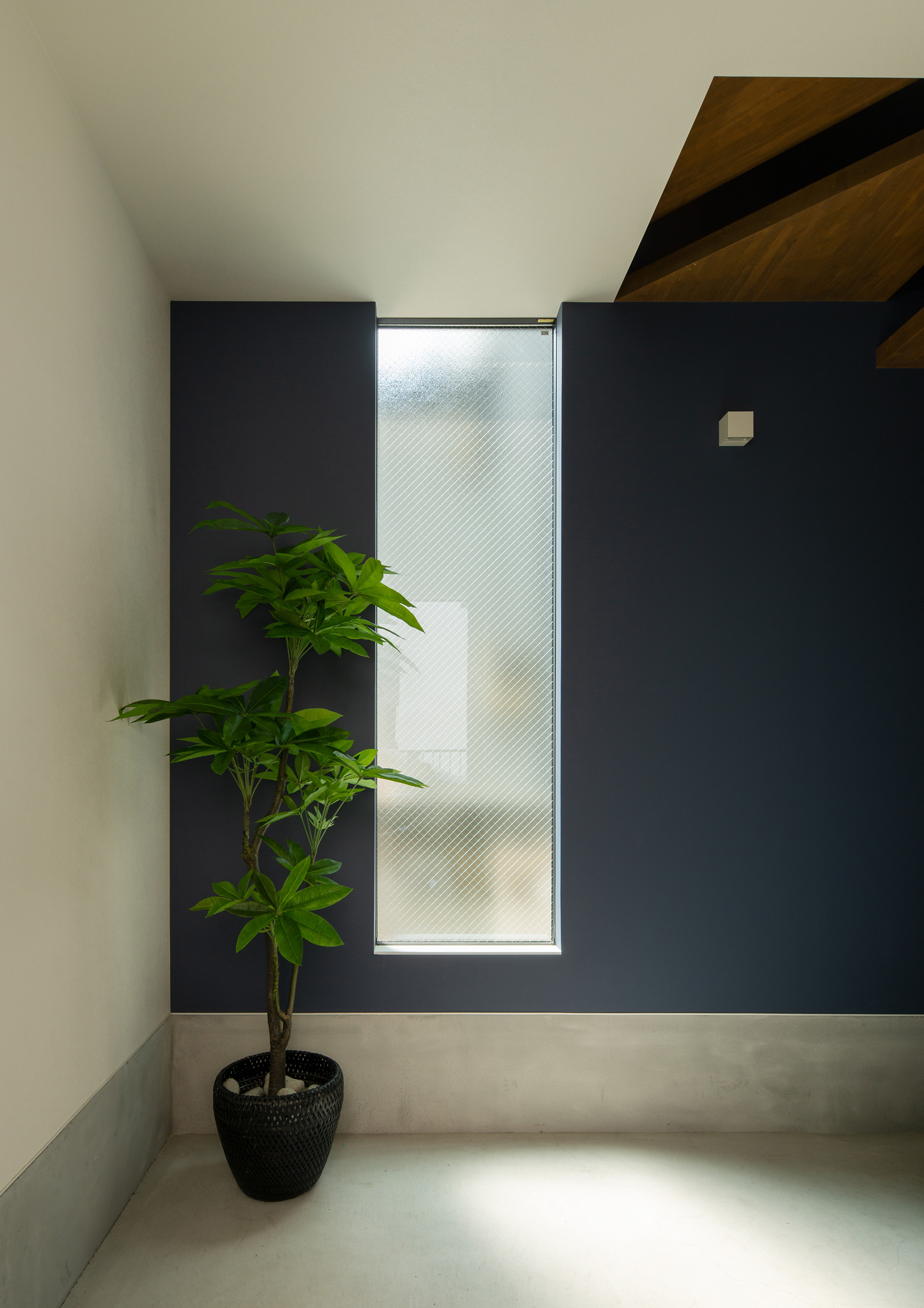 縦長の窓があり、観葉植物が飾られている土間の玄関・デザイン住宅