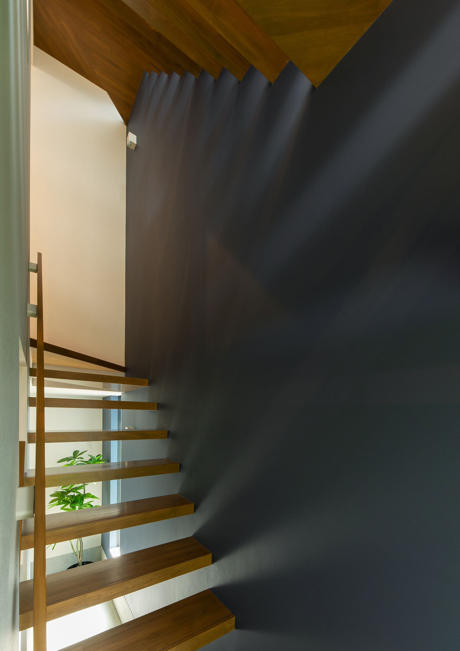 自然光がスケルトン階段の間から抜け、ネイビーの壁に映る様子・デザイン住宅