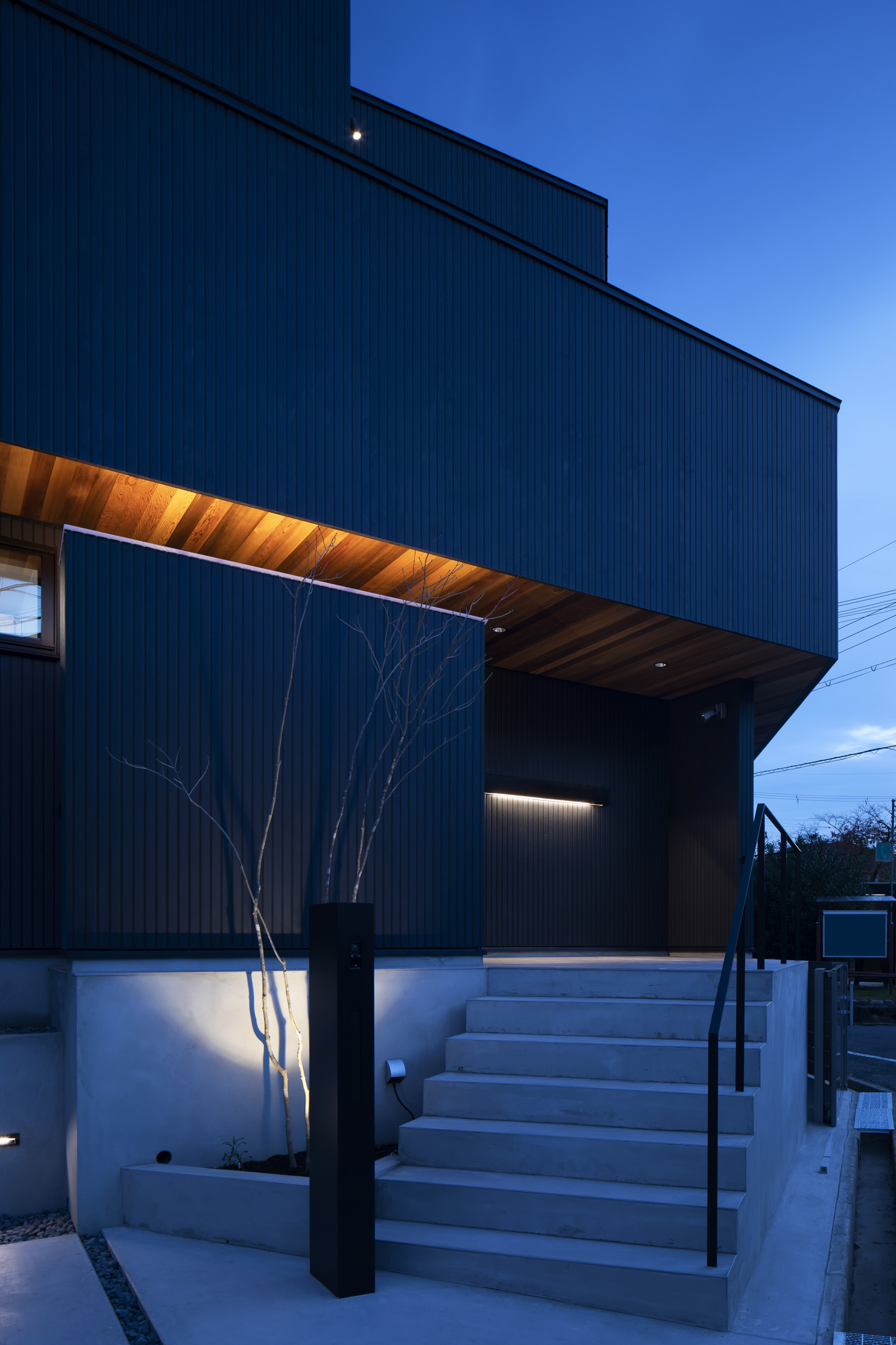 コンクリートの階段アプローチにある木が照明に照らされた住宅の外観・デザイン住宅