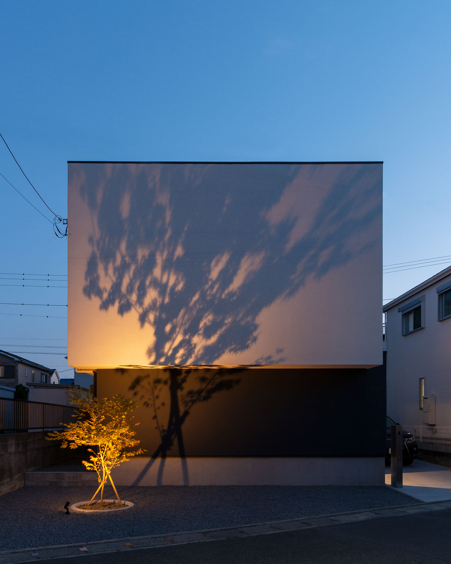 照明に照らされたシンボルツリーの影が白い外壁に映る住宅の外観・デザイン住宅