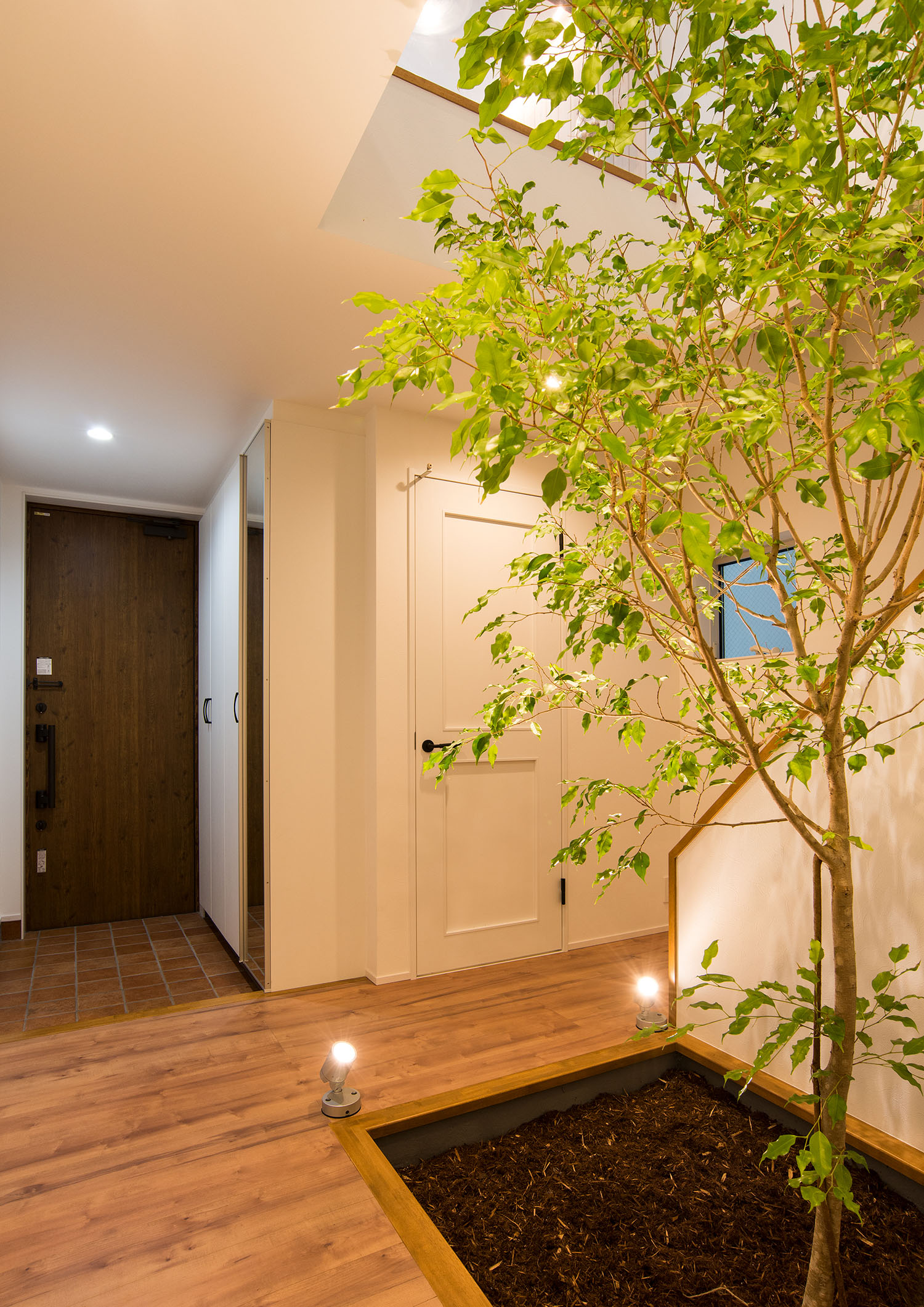 玄関の正面に、照明に照らされたシンボルツリーがある室内・Gardenのある家