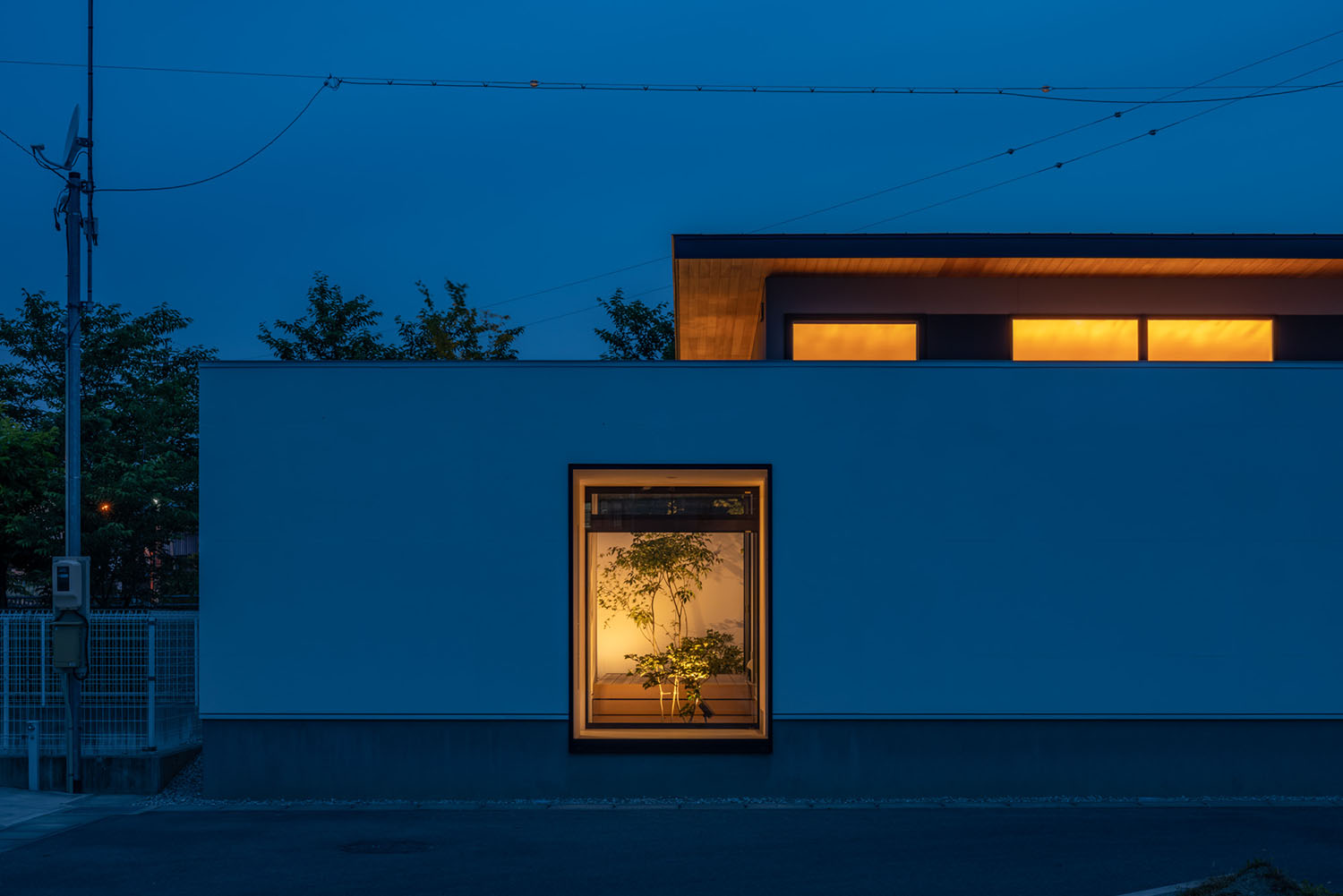 外壁に設けた窓から室内の植栽が見える平屋住宅・デザイン住宅