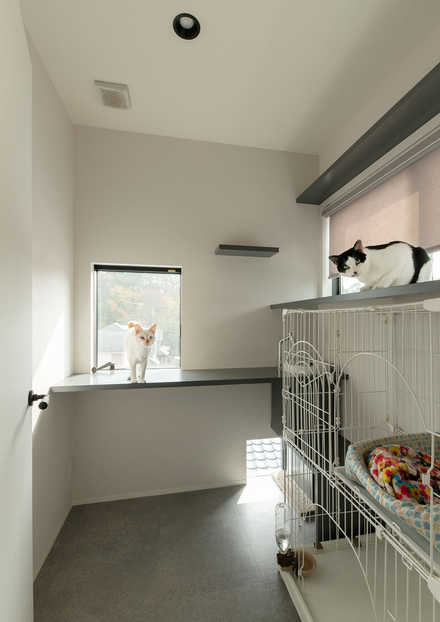 猫用のケージが置かれ、キャットウォークが設けられた部屋・デザイン住宅