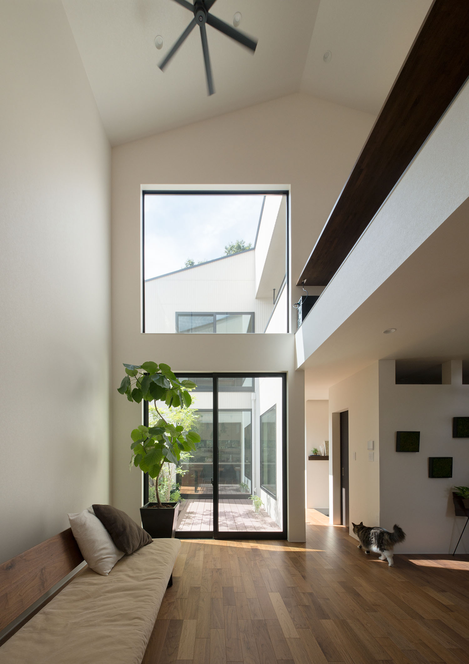 吹き抜けの上部まで窓が設けられた観葉植物のあるLDK・デザイン住宅