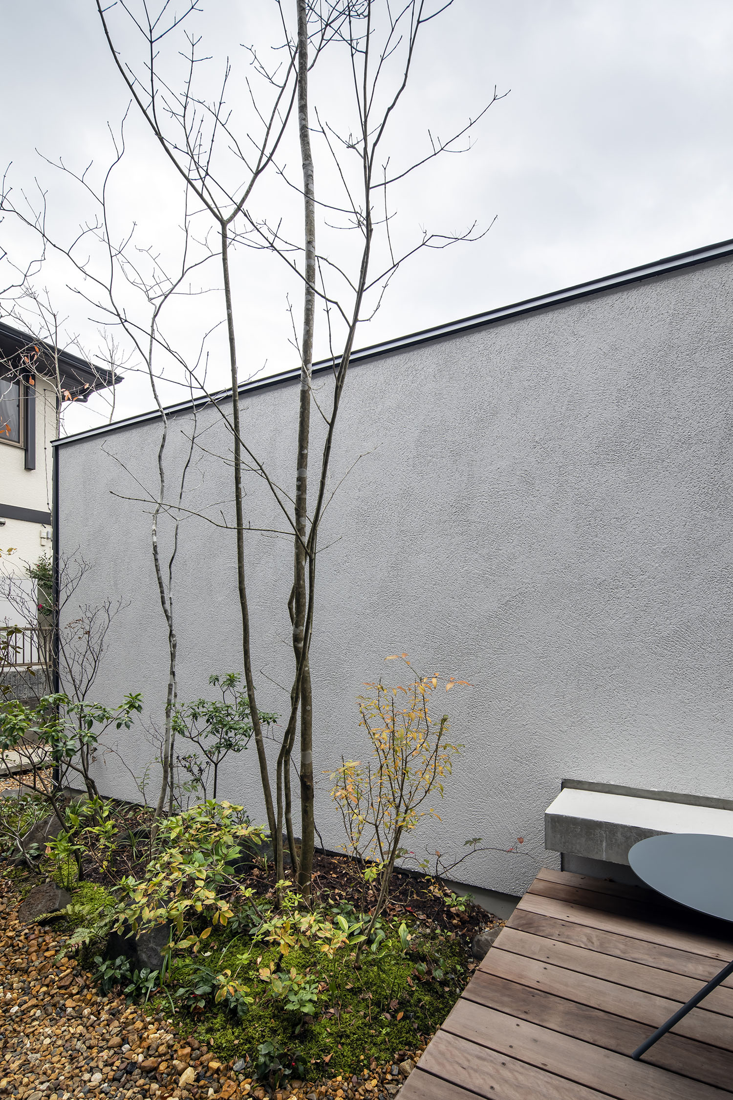 目隠しの白い壁が建てられた、植栽のあるウッドデッキのテラス・デザイン住宅