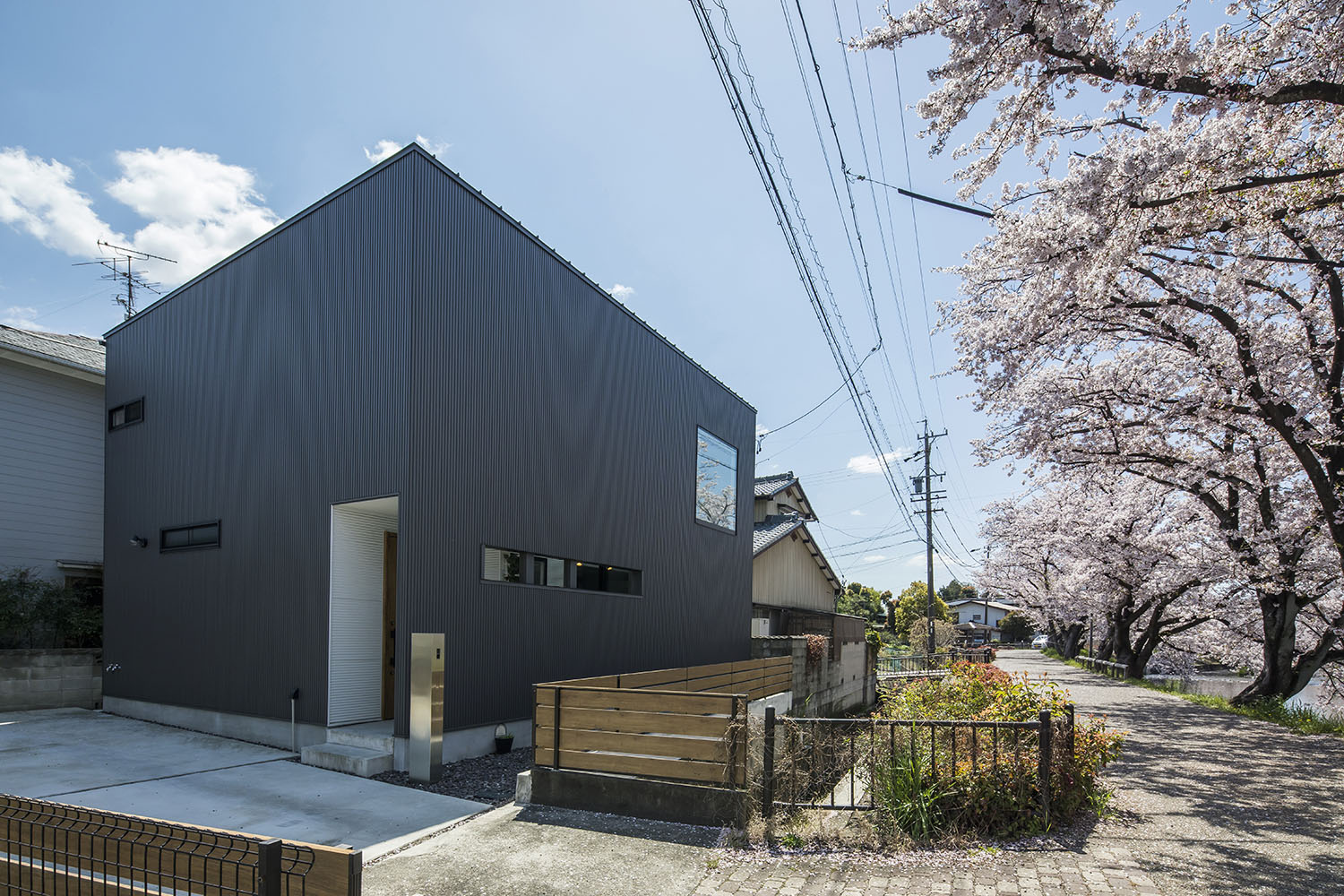 桜並木のそばに建つ、黒いキューブ状の住宅・フリーダムアーキテクツの事例
