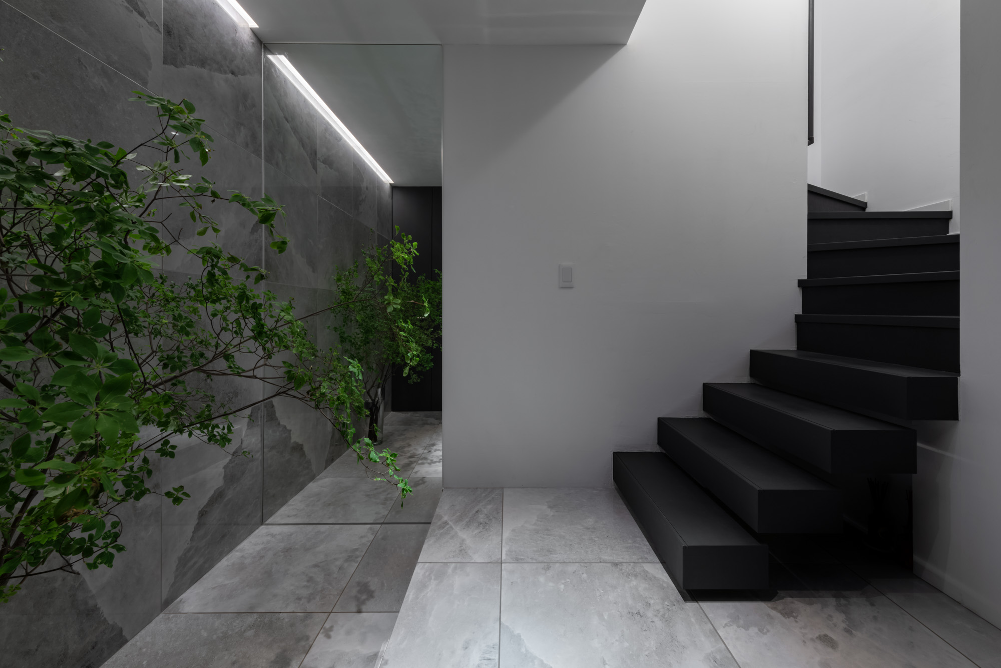 床と壁がグレーのタイルで、シンボルツリーを置いた玄関のそばに黒い箱型階段がある・デザイン住宅