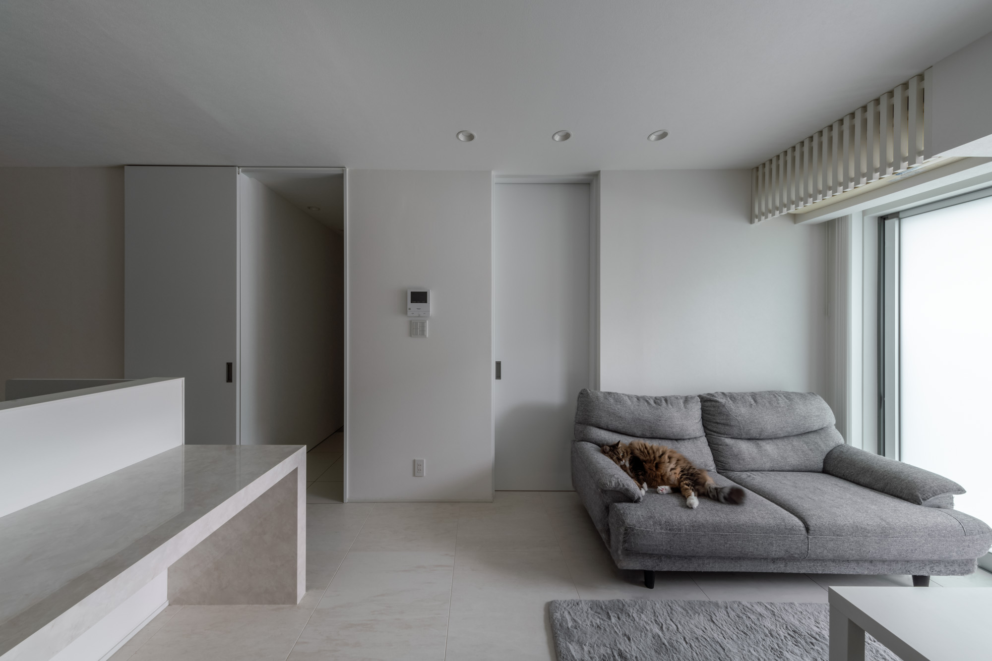 白とグレーを基調としたLDKにあるソファーの上で猫が寝ている・デザイン住宅
