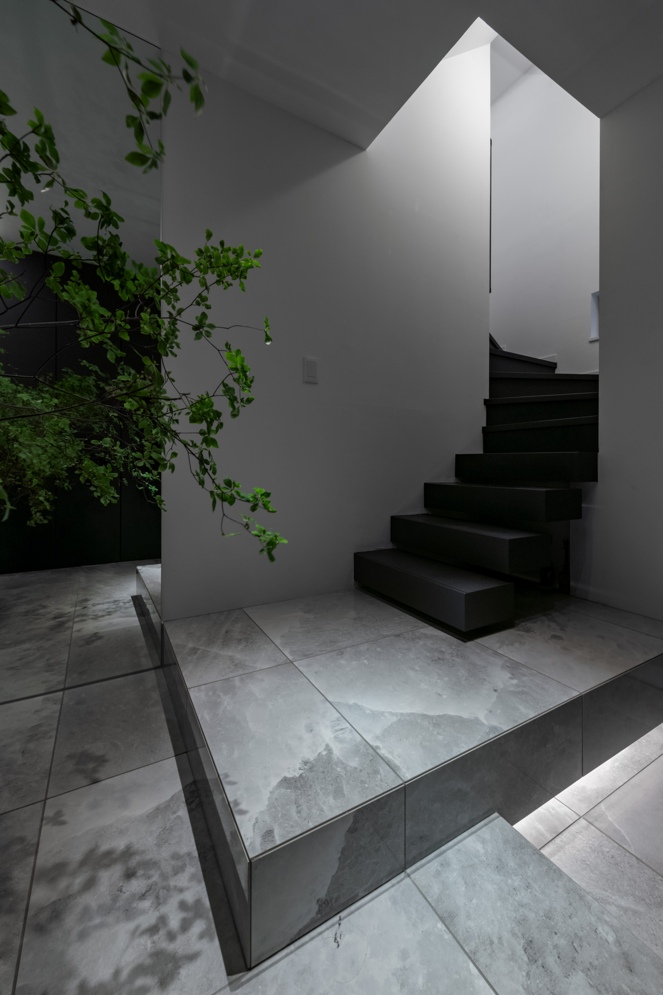 グレーのタイルの床の玄関から黒い箱型階段が繋がる様子・デザイン住宅